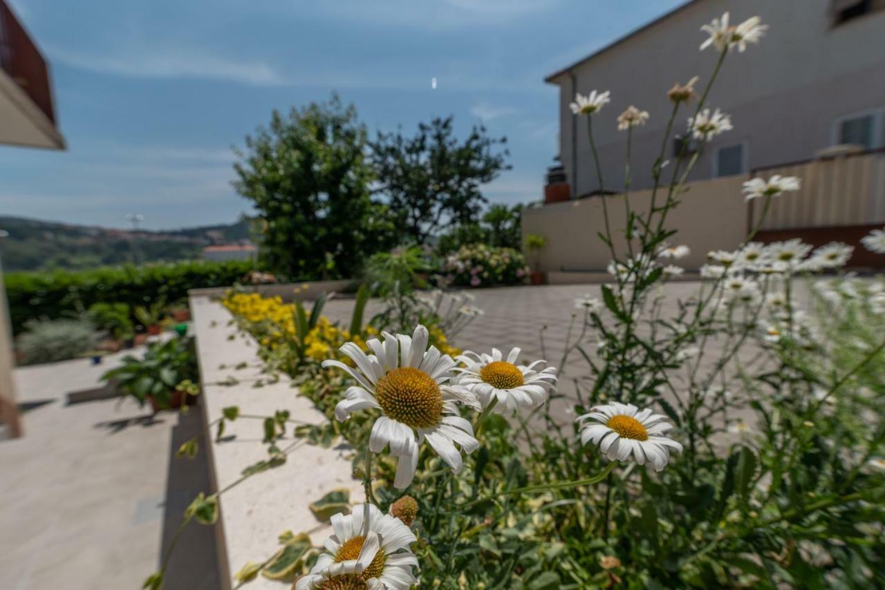 Apartments Flora تروغير المظهر الخارجي الصورة